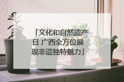 文化和自然遗产日 广西全方位展现非遗独特魅力