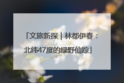 文旅新探｜林都伊春：北纬47度的绿野仙踪