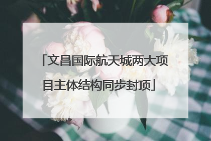 文昌国际航天城两大项目主体结构同步封顶