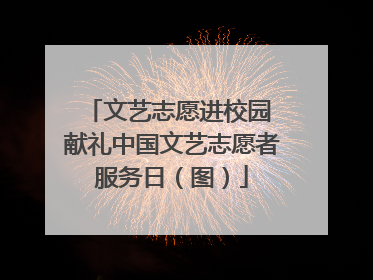 文艺志愿进校园 献礼中国文艺志愿者服务日（图）