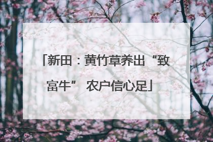 新田：黄竹草养出“致富牛” 农户信心足