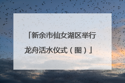 新余市仙女湖区举行龙舟活水仪式（图）