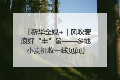 新华全媒+｜风吹麦浪好“丰”景——多地小麦机收一线见闻