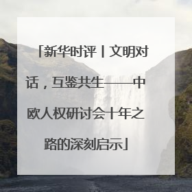 新华时评丨文明对话，互鉴共生——中欧人权研讨会十年之路的深刻启示