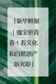 新华鲜报｜瑰宝更青春！看文化和自然遗产新光彩