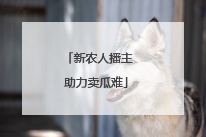 新农人播主 助力卖瓜难