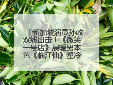 新加坡演员孙政双线出击！《微笑一号店》展暖男本色《临江仙》塑冷酷龙渊