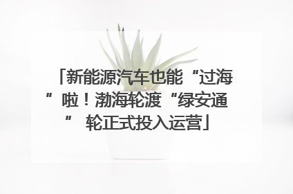 新能源汽车也能“过海”啦！渤海轮渡“绿安通” 轮正式投入运营