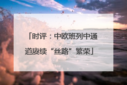 时评：中欧班列中通道赓续“丝路”繁荣