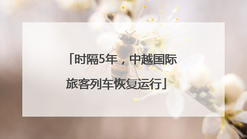 时隔5年，中越国际旅客列车恢复运行