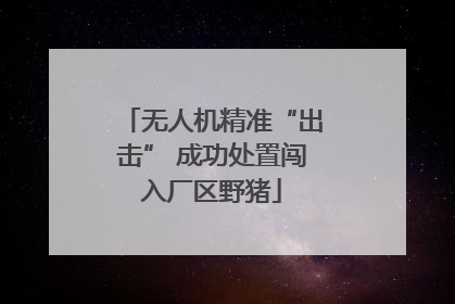 无人机精准“出击” 成功处置闯入厂区野猪