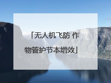 无人机飞防 作物管护节本增效