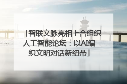 智联文脉亮相上合组织人工智能论坛：以AI编织文明对话新纽带
