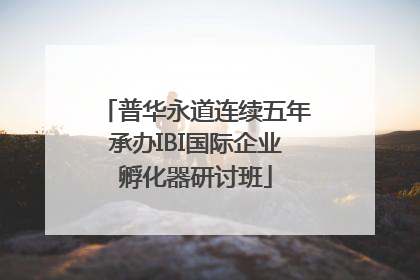 普华永道连续五年承办IBI国际企业孵化器研讨班