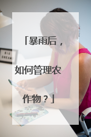 暴雨后，如何管理农作物？