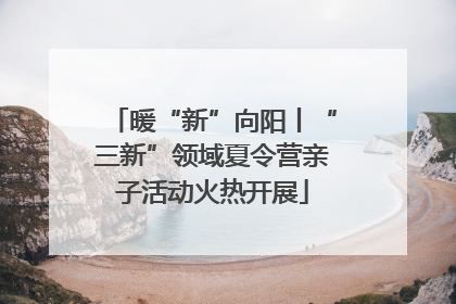 暖“新”向阳丨“三新”领域夏令营亲子活动火热开展