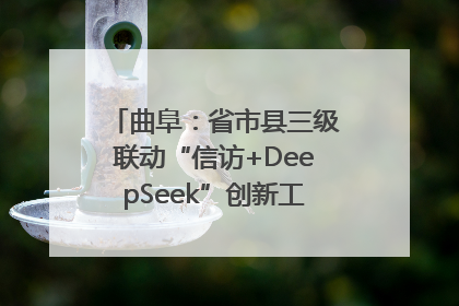 曲阜：省市县三级联动“信访+DeepSeek”创新工作新闻发布会举行