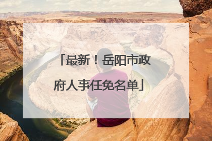 最新！岳阳市政府人事任免名单