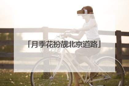 月季花扮靓北京道路