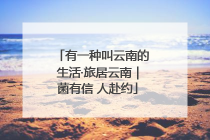 有一种叫云南的生活·旅居云南｜菌有信 人赴约