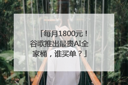 每月1800元！谷歌推出最贵AI全家桶，谁买单？