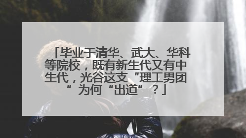 毕业于清华、武大、华科等院校，既有新生代又有中生代，光谷这支“理工男团”为何“出道”？