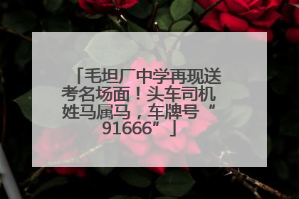 毛坦厂中学再现送考名场面！头车司机姓马属马，车牌号“91666”