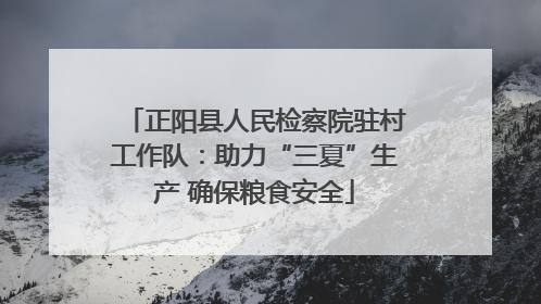 正阳县人民检察院驻村工作队：助力“三夏”生产 确保粮食安全
