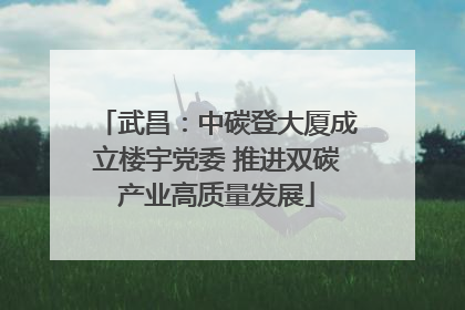 武昌：中碳登大厦成立楼宇党委 推进双碳产业高质量发展