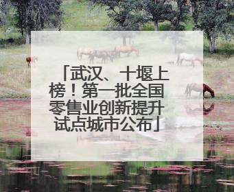 武汉、十堰上榜！第一批全国零售业创新提升试点城市公布