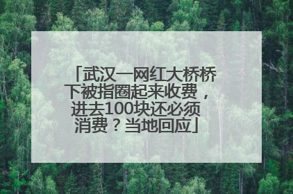 武汉一网红大桥桥下被指圈起来收费，进去100块还必须消费？当地回应