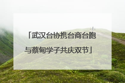 武汉台协携台商台胞与蔡甸学子共庆双节