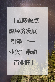 武陵源点燃经济发展引擎 “一业兴”带动百业旺