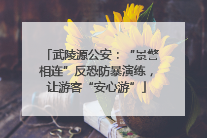 武陵源公安：“景警相连”反恐防暴演练，让游客“安心游”