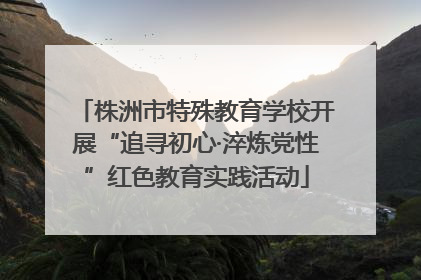 株洲市特殊教育学校开展“追寻初心·淬炼党性”红色教育实践活动