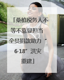 桑植税务人不等不靠显担当 全员捐款助力“6·18”洪灾重建