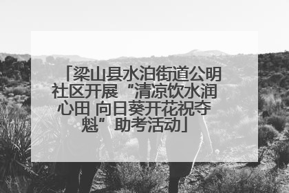 梁山县水泊街道公明社区开展“清凉饮水润心田 向日葵开花祝夺魁”助考活动