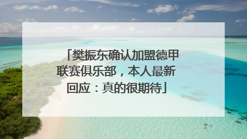 樊振东确认加盟德甲联赛俱乐部，本人最新回应：真的很期待