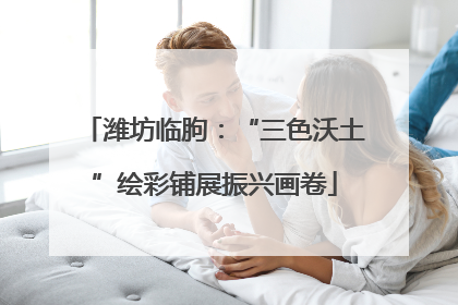 潍坊临朐：“三色沃土”绘彩铺展振兴画卷