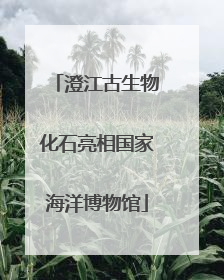 澄江古生物化石亮相国家海洋博物馆