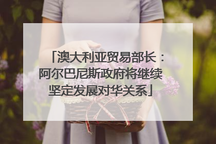 澳大利亚贸易部长：阿尔巴尼斯政府将继续坚定发展对华关系