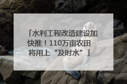 水利工程改造建设加快推！110万亩农田将用上“及时水”