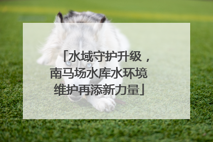 水域守护升级，南马场水库水环境维护再添新力量