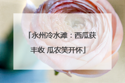 永州冷水滩：西瓜获丰收 瓜农笑开怀