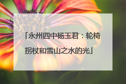 永州四中杨玉君：轮椅拐杖和雪山之水的光