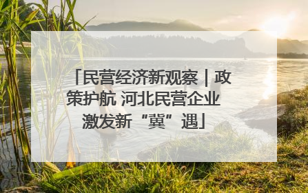 民营经济新观察｜政策护航 河北民营企业激发新“冀”遇
