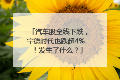 汽车股全线下跌，宁德时代也跌超4%！发生了什么？