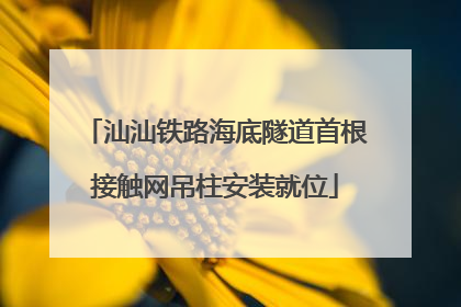 汕汕铁路海底隧道首根接触网吊柱安装就位
