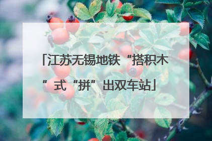 江苏无锡地铁“搭积木”式“拼”出双车站