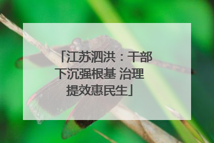 江苏泗洪：干部下沉强根基 治理提效惠民生
